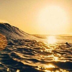 Miami Surf Meet