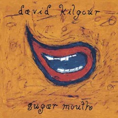David Kilgour - Fall Away (Demo)