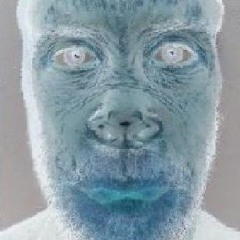 I Can't Stand The Wayne