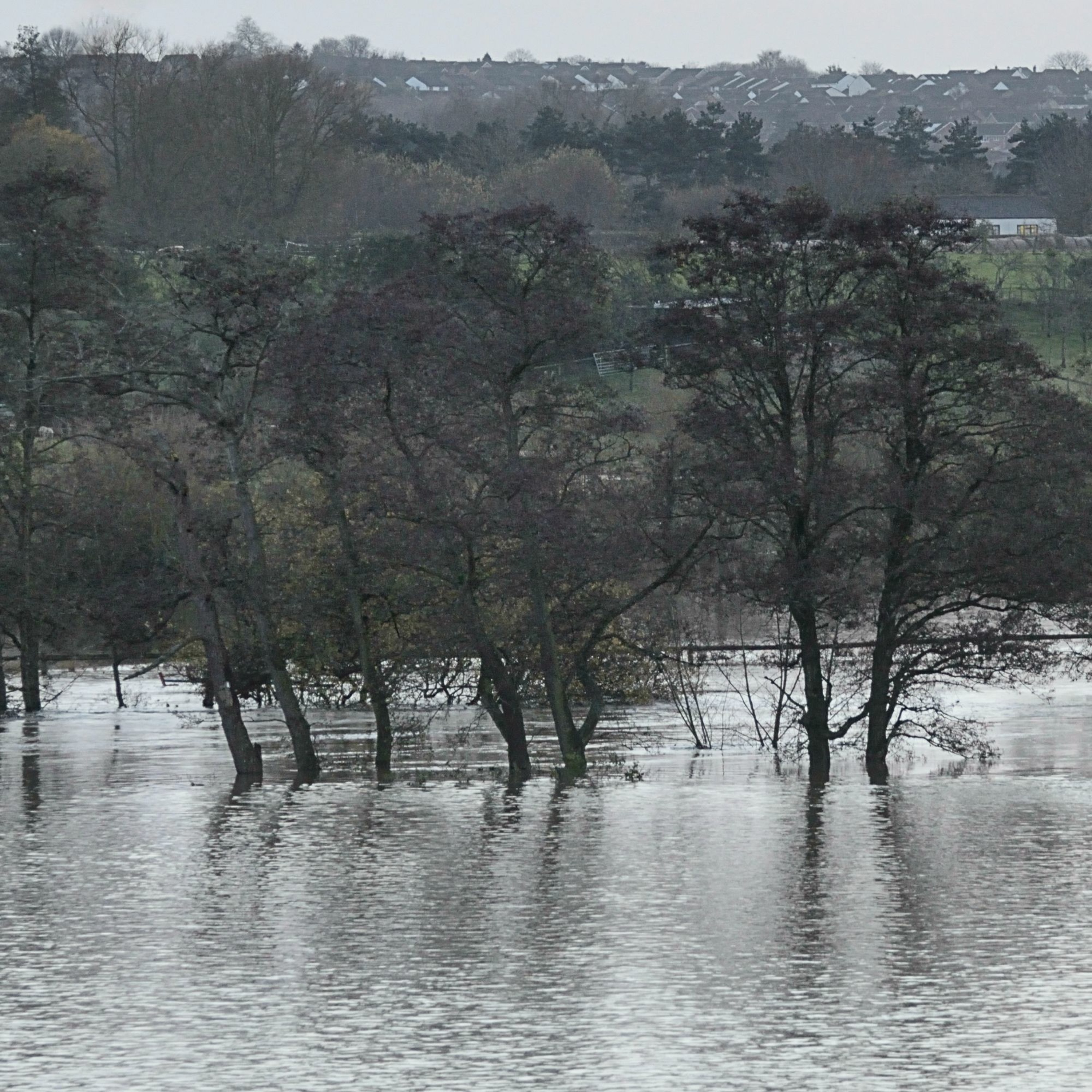 Communicating Adaptation and Resilience
