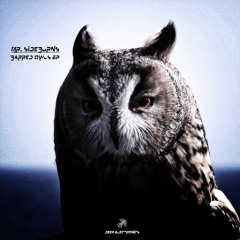 Mr Sideburns - Barred Owls (ifihadahifi The Owls Are Not What The Seem Remix)
