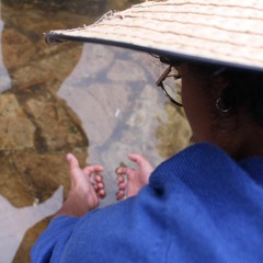 Canción de un árbol (Con Piedad Sanchez Picon)