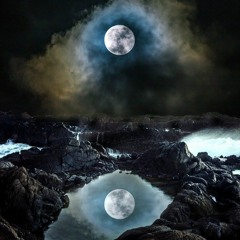 Wood Ox - Full Moon Trance