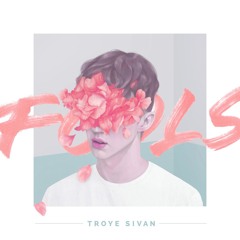Fools - Troye Sivan (Acoustic Version)