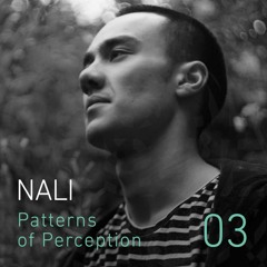 Patterns of Perception 03 - Nali