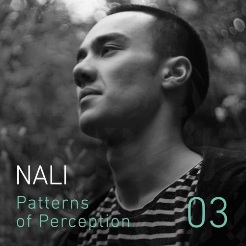 Patterns of Perception 03 - Nali