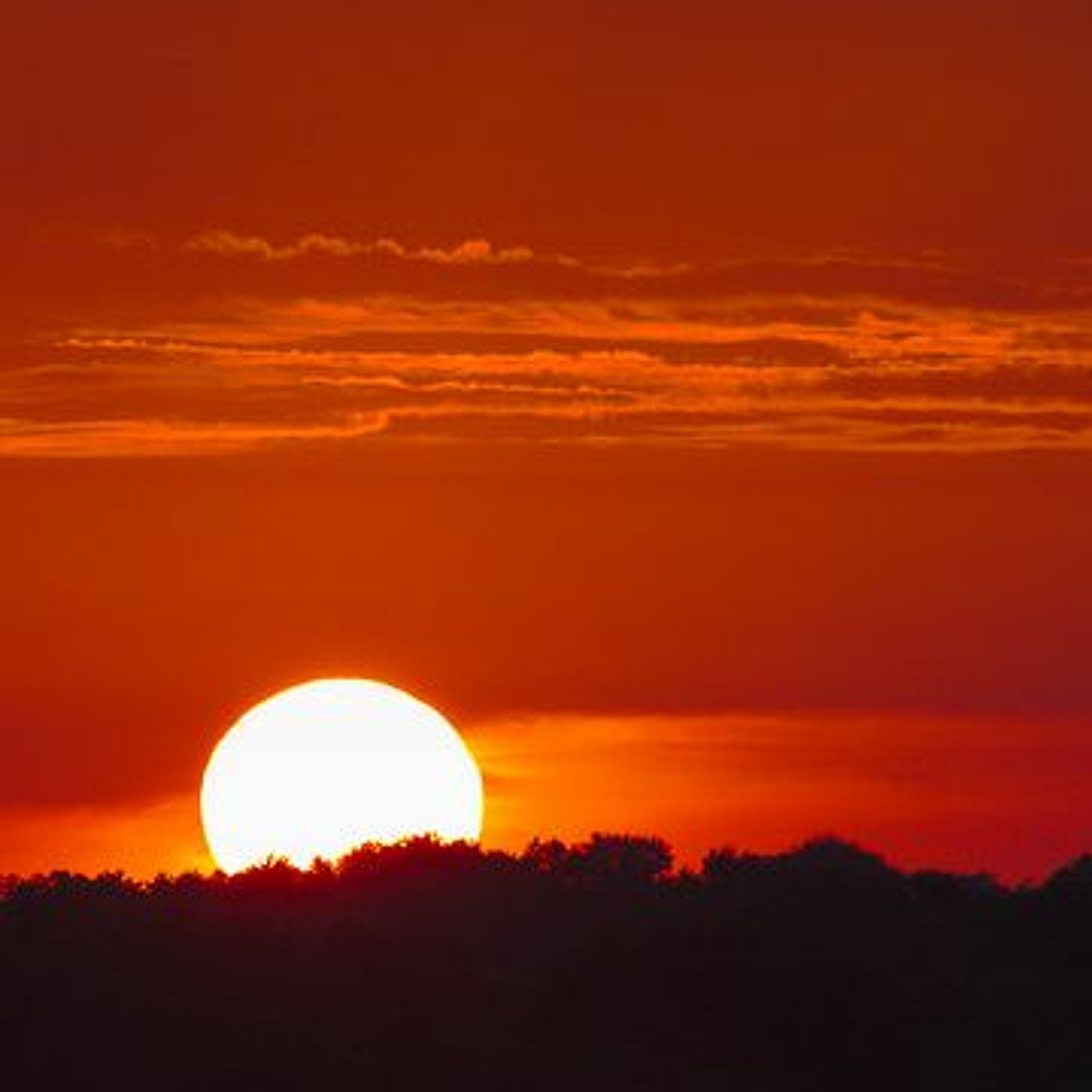 Illicit Sunrise episode artwork