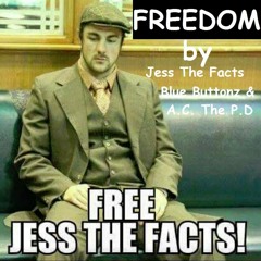 Jess The Facts, Blue Buttonz and A.C. The P.D. featuring Richie Havens - Freedom