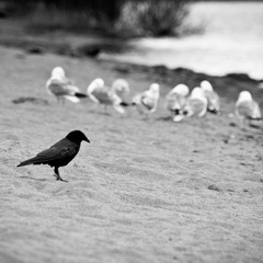 Kudos x Nova - Pressure