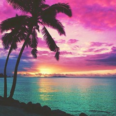 Disco Re-Edit Vs Funk Re-Edit - Disco Reggae Hot (Dance Mix)