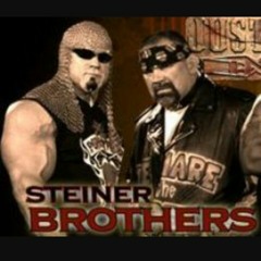 Steiner Brothers..Track Produced by BoogieMan and William Steams