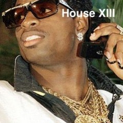 House XIII