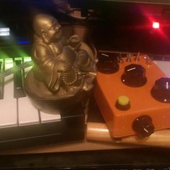 Holding the Tree (Distinctive Electronica Group Contest Winner)