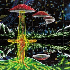 Cito - Dreams worth Pain