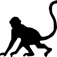 pearlsOF16monkeys