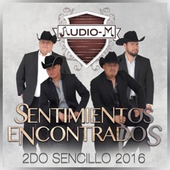 Sentimientos Encontrados ~ Audio M ||Single 2016||