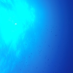 Clarity - Jardel Macintosh