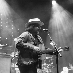 Wilco - [EKG intro] (Live in Port Chester 2)