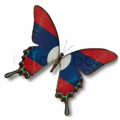 Lil AZN Organization, "L.A.O. Pride"