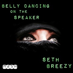 Belly Dancing On The Speaker (Seth Breezy Private Mash)