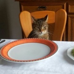 Fuchs&Muehle - LustigerZufall