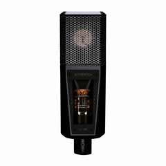 Lewitt LCT 940 - Tube - Male Vocals