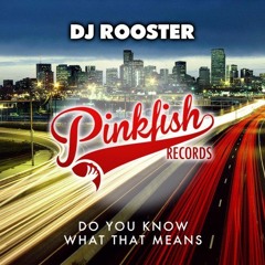 Dj Rooster - Do You Know What That Means (Funky Truckerz Remix) PREVIEW