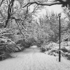 White Blank Page (Mumford & Sons)