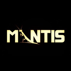 Mashrou3 Leila - Kalaam (DJ Mantis Remix)