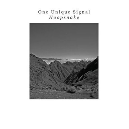One Unique Signal - Hoopsnake