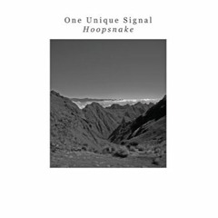 One Unique Signal - HS04