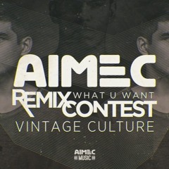 Vintage Culture - What u Want ( 33Hz Remix ) WINNER #2 Remix Contest