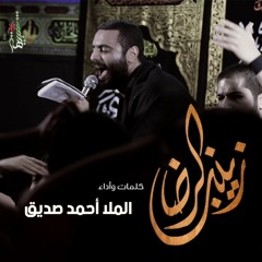 زينب الرضا - كلمات وأداء | الملا أحمد صديق
