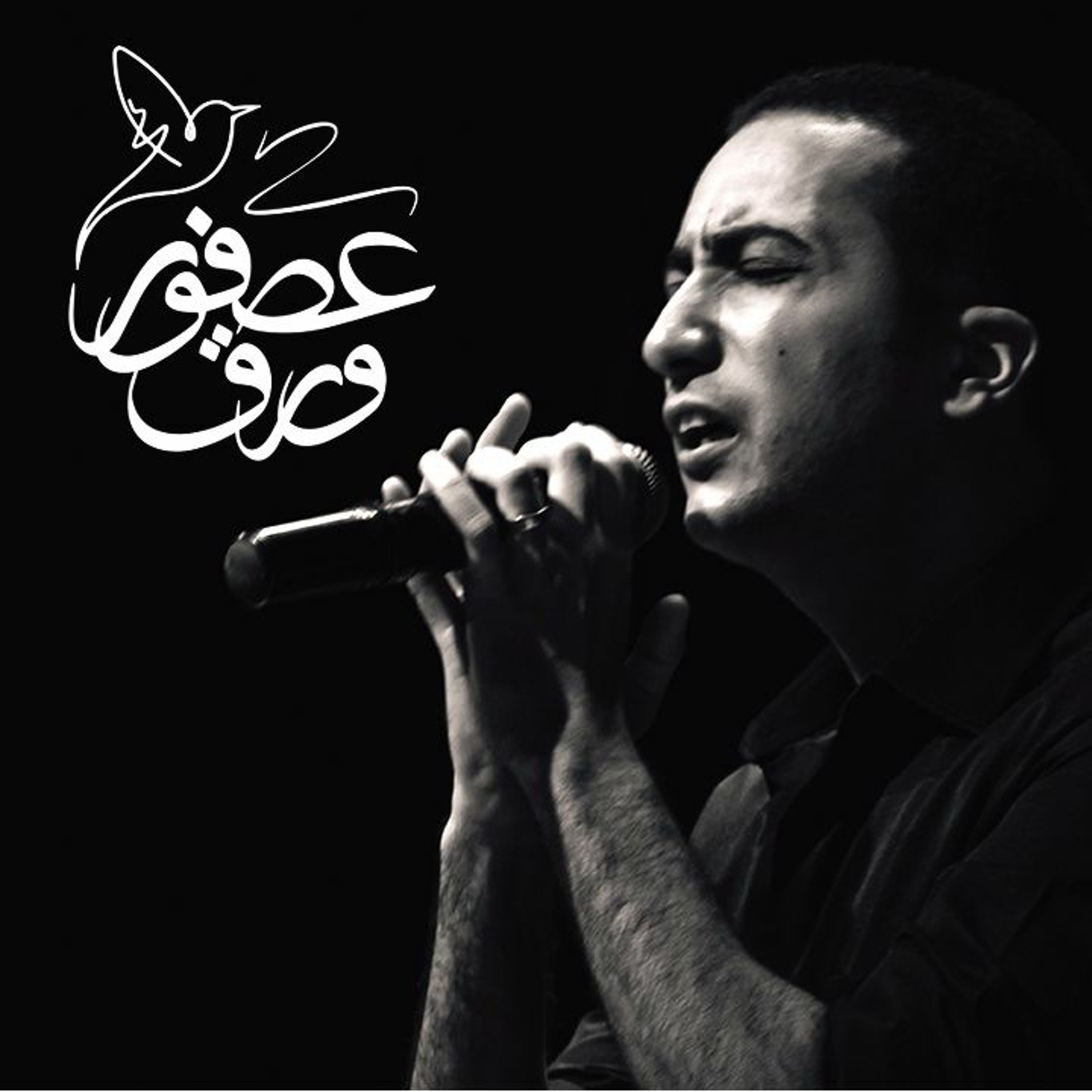 عصفور ورق - جوني episode artwork