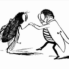 Fliege Gustav tanzt zum Gebrumm