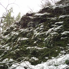 february 2016
