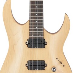 While My Guitar Gently Weeps [2009]