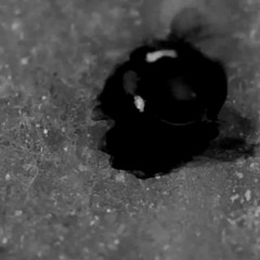 Anetha - Black Widow