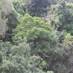 Happy Birthday(Last Into Yours)