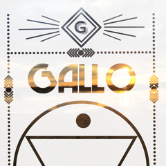 Diplo - Be Right There (Gallo Remix)