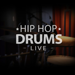 Chillin (prod by T.O.1.C) | ModernSamples.com