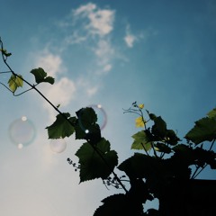 Tame Impala - Let It Happen [Guitar Loop]