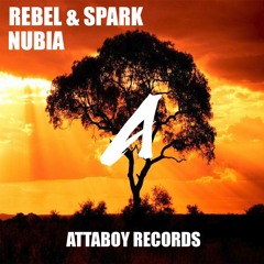 Rebel X Spark - Nubia