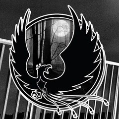 TOP 5 Shadow Phoenix Exclusives