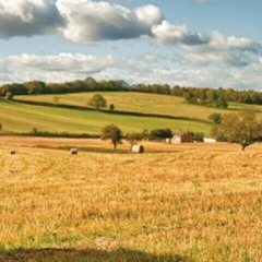 How many the lands - Lau/MacLeods and Navidis