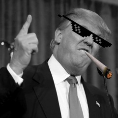 Donald Trump - Blame Mexico