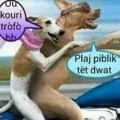 Zin - Le Bonbon {Manyen'w]