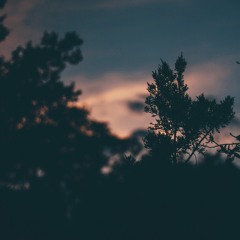 Denouement