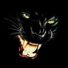 Pantera (Beat)