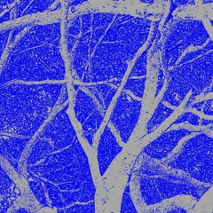 Funk 'N' Bebop ('N' House 'N' Techno)